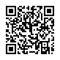 C&oacute;digo QR con el enlace al titular Fernando Torres... Â¿selecciÃ³n?