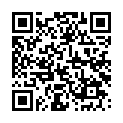 C&oacute;digo QR con el enlace al titular &lsquo;Templum Libri&rsquo; dibuja el mundo