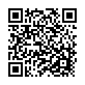 C&oacute;digo QR con el enlace al titular El alcalde visita Municipalia que reÃºne a mÃ¡s de 6.000 niÃ±os en el Paseo de Papalaguinda
