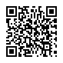 C&oacute;digo QR con el enlace al titular Luigi Puck en la Casa de la Cultura