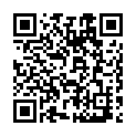 C&oacute;digo QR con el enlace al titular Vuelve el tren playero