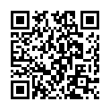 C&oacute;digo QR con el enlace al titular La villaâ€¦ a pinceladas
