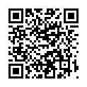 C&oacute;digo QR con el enlace al titular Santa Ana 2016