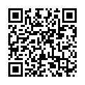 C&oacute;digo QR con el enlace al titular El CurueÃ±o que nos lleva