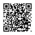 C&oacute;digo QR con el enlace al titular Dos jÃ³venes heridos tras salirse de la vÃ­a el coche que ocupaban en la N-VI a la altura de Torre del Bierzo