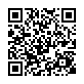 C&oacute;digo QR con el enlace al titular Detenido en Ãvila por provocar un accidente y abandonar a los ocupantes de otro turismo, una mujer y su hijo