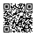 C&oacute;digo QR con el enlace al titular Los portavoces municipales reciben a la Plataforma de VÃ­ctimas del Alvia 04155