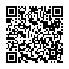 C&oacute;digo QR con el enlace al titular Un aviÃ³n se sale de la pista de aterrizaje en Italia