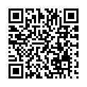 C&oacute;digo QR con el enlace al titular Con la MisiÃ³n en la maleta