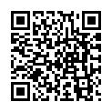 C&oacute;digo QR con el enlace al titular Circo en LugÃ¡n