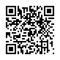 C&oacute;digo QR con el enlace al titular San Miguel de MontaÃ±Ã¡n en fiestas