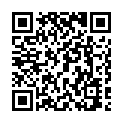 C&oacute;digo QR con el enlace al titular Un click de Playmobil maragato