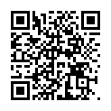 C&oacute;digo QR con el enlace al titular borrador de trozos fiestas de leon