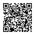 C&oacute;digo QR con el enlace al titular Un accidente en el descenso de carrilanas deja varios heridos