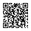C&oacute;digo QR con el enlace al titular VII Fiesta de la N 2016 en Toral de los Vados