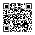 C&oacute;digo QR con el enlace al titular Dos heridas en el atropello de Obispo Alcolea