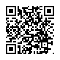 C&oacute;digo QR con el enlace al titular La PolicÃ­a Nacional patrulla el  Camino de Santiago a caballo