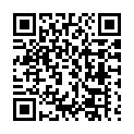 C&oacute;digo QR con el enlace al titular Arde un vehÃ­culo en la L-30