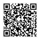 C&oacute;digo QR con el enlace al titular El impacto de un vehÃ­culo en la mediana de  Condesa de Sagasta obliga a cortar el vial