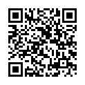 C&oacute;digo QR con el enlace al titular Los guardianes aÃ©reos de la luz