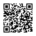 C&oacute;digo QR con el enlace al titular VIII Fiesta de la N Toral de los Vados 2016
