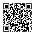 C&oacute;digo QR con el enlace al titular Vuela por un euro a Alemania desde Asturias