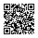 C&oacute;digo QR con el enlace al titular Carrasco abre el candado ruso