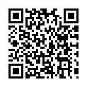 C&oacute;digo QR con el enlace al titular Modelo de partido