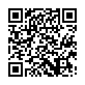 C&oacute;digo QR con el enlace al titular Modelo de partido