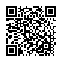 C&oacute;digo QR con el enlace al titular Salguero aconseja el transporte pÃºblico para reducir los 25.000 coches al dÃ­a que van al cementerio estos dÃ­as