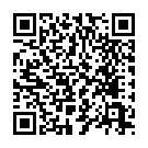 C&oacute;digo QR con el enlace al titular Un herido tras empotrarse en la rotonda de Carrefour y caer en su balsa de agua