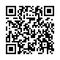 C&oacute;digo QR con el enlace al titular Tesla no viene al Bierzo
