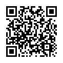C&oacute;digo QR con el enlace al titular Minibalonmano.