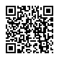 C&oacute;digo QR con el enlace al titular Campanadas 2017 en BoÃ±ar