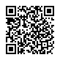 C&oacute;digo QR con el enlace al titular Pleno municipal para terminar el 2016