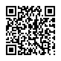 C&oacute;digo QR con el enlace al titular Un pleno con un Ãºnico conflicto, la RPT de la DiputaciÃ³n de LeÃ³n