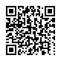 C&oacute;digo QR con el enlace al titular Dos detenidos por el robo en un establecimiento de pintura industrial