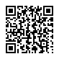 C&oacute;digo QR con el enlace al titular SilvÃ¡n y Villarroel presentan el borrador de los presupuestos 2017