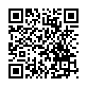 C&oacute;digo QR con el enlace al titular PLENO 16/1/2017