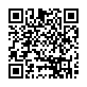 C&oacute;digo QR con el enlace al titular El aeropuerto de LeÃ³n registra -11,5 grados