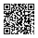 C&oacute;digo QR con el enlace al titular Cadenas obligatorias en el puerto de Tarna