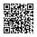 C&oacute;digo QR con el enlace al titular McLaren progresa adecuadamente