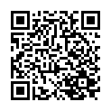 C&oacute;digo QR con el enlace al titular Pleno 13/2/17