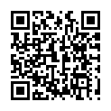 C&oacute;digo QR con el enlace al titular Los peores ciberdelitos de 2016