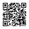 C&oacute;digo QR con el enlace al titular LeÃ³n estrena bandera