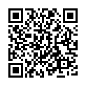C&oacute;digo QR con el enlace al titular MÃ¡s de 10.800 vehÃ­culos controlados en la campaÃ±a especial de circulaciÃ³n segura en las glorietas de LeÃ³n