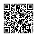 C&oacute;digo QR con el enlace al titular Heridos dos electricistas en La BaÃ±eza