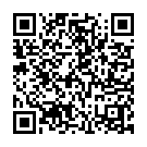 C&oacute;digo QR con el enlace al titular Al menos 28 heridos en un atropello masivo en un desfile de carnaval en Nueva Orleans