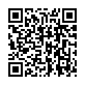 C&oacute;digo QR con el enlace al titular Las autoridades coordinan el dispositivo de seguridad para velar por el Carnaval