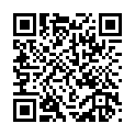 C&oacute;digo QR con el enlace al titular Al desierto en Seat Panda